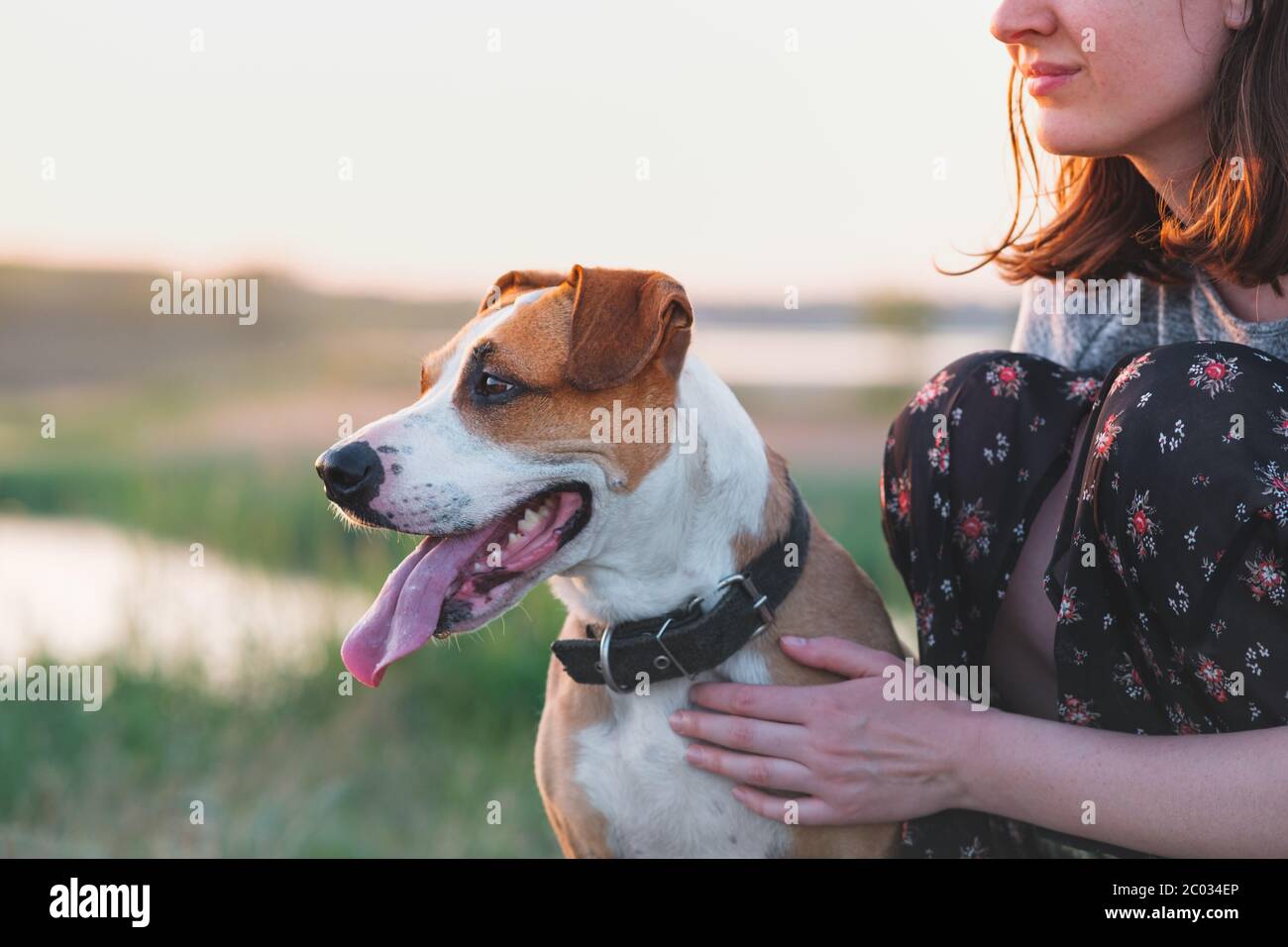 Hund Besamt Frau