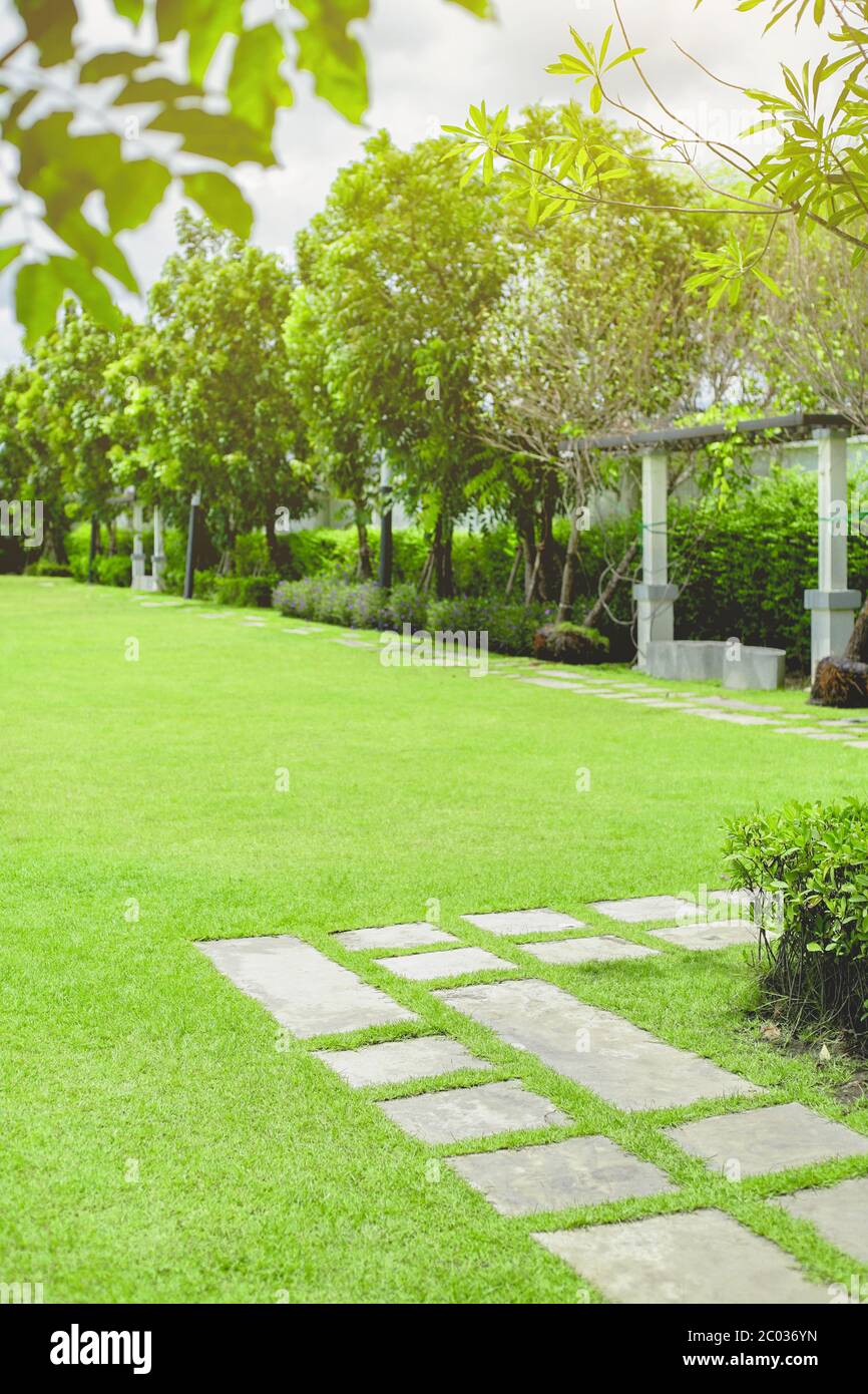 Grünes Gras Feld am Morgen, Entspannung Szene. Stockfoto