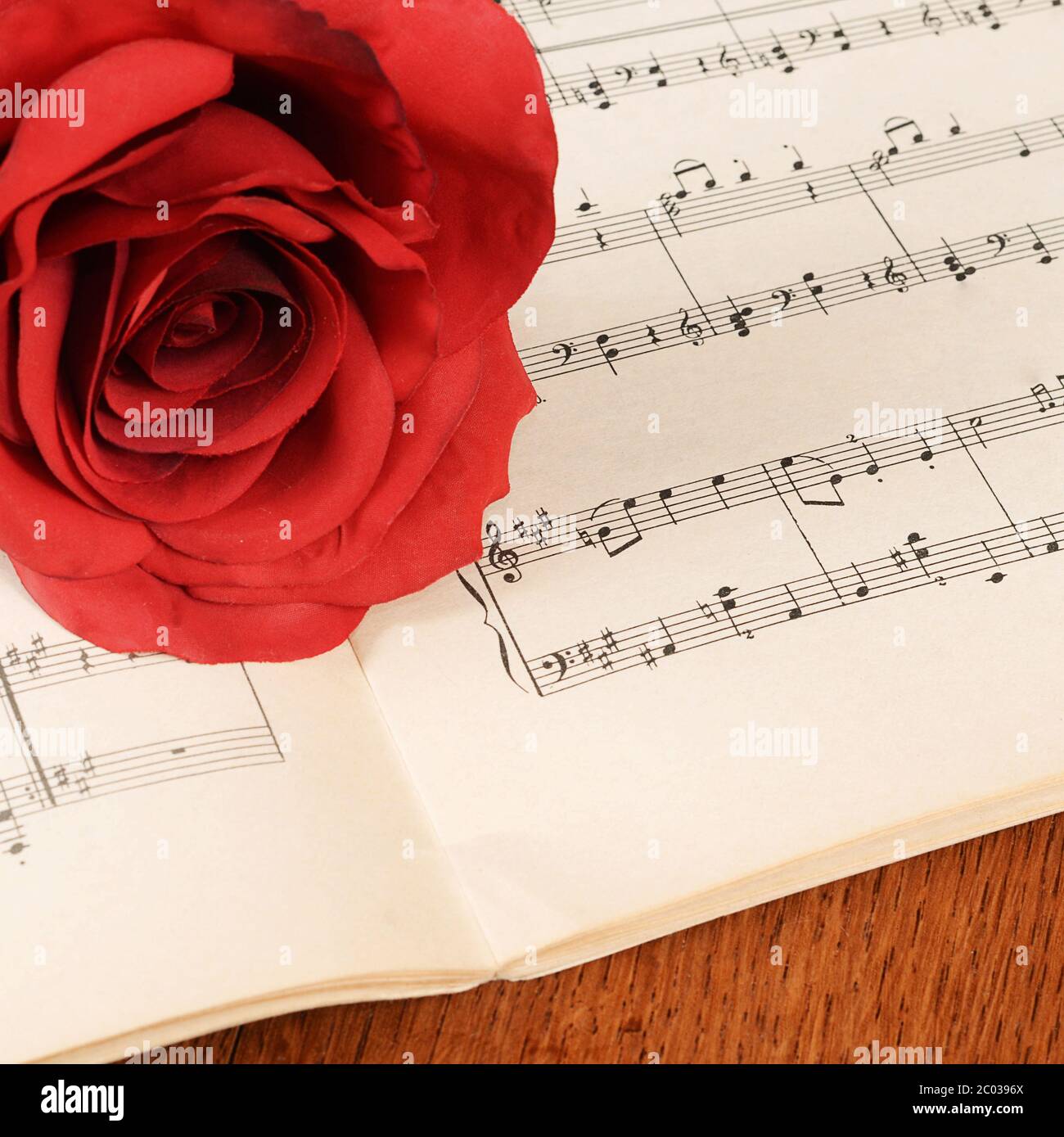 Die Rose auf Notebooks mit Noten Stockfoto