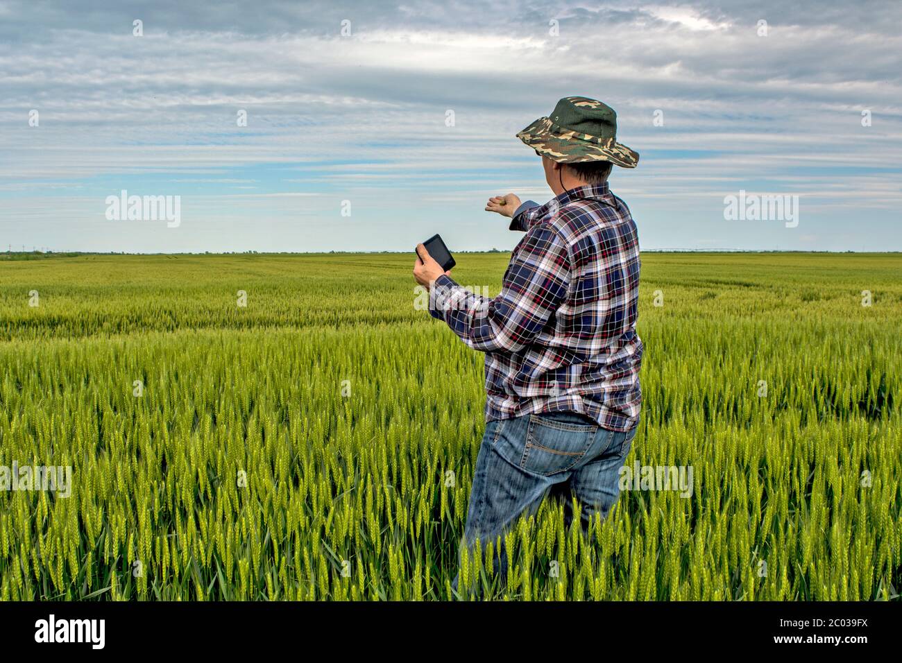 Ein Agronom oder Landwirt in einem Getreidefeld, das er kontrolliert. Untersucht die Qualität der Gattung und des Getreides. Er benutzt auch ein Tablet als Hilfe für seinen Wor Stockfoto