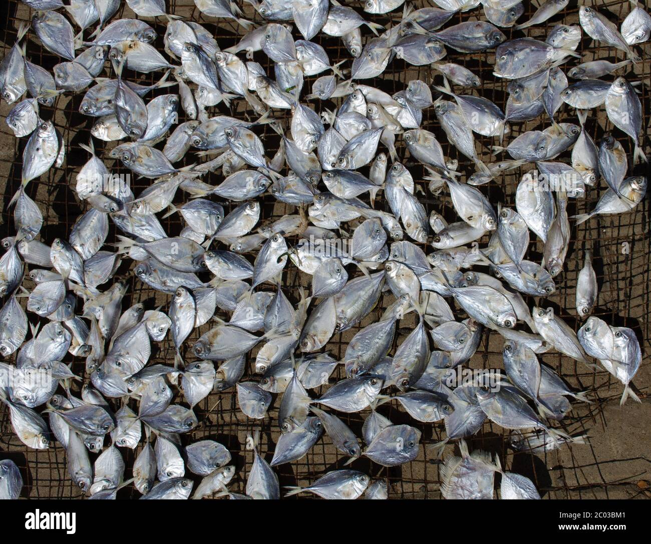 Elmina, Ghana - kleiner Fischfang Stockfoto