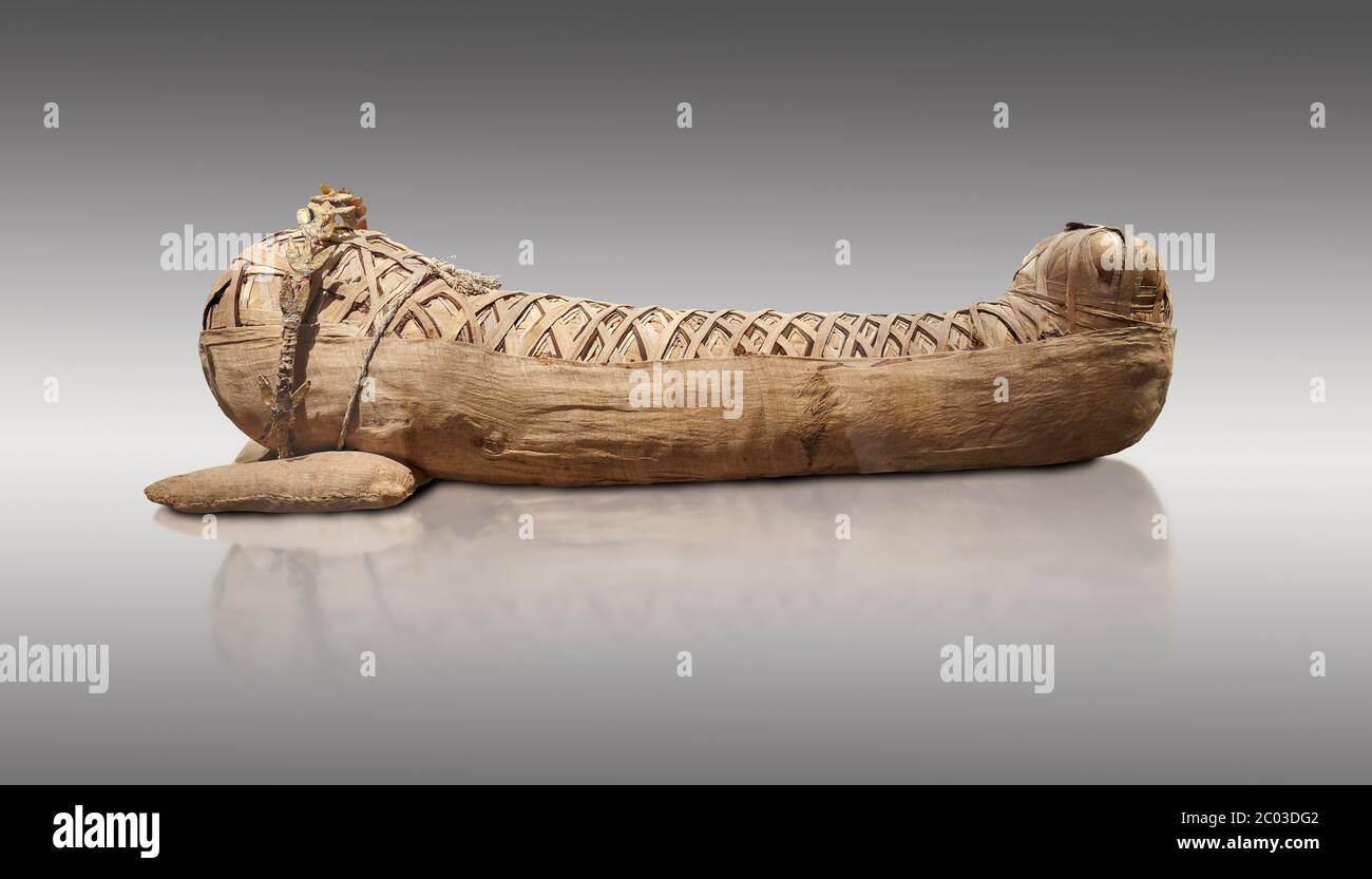 Alte ägyptische Mumie der römischen Periode - 1. Jahrhundert BC bis 2 Cent AD. Ägyptisches Museum, Turin. Grauer Hintergrund Stockfoto