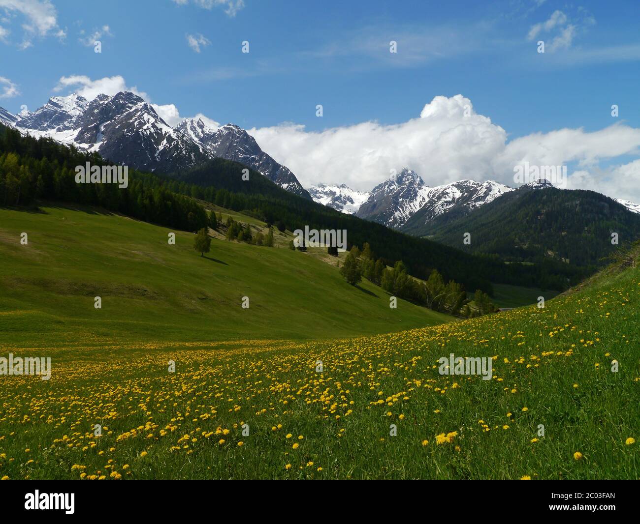 Unterengadin Stockfoto