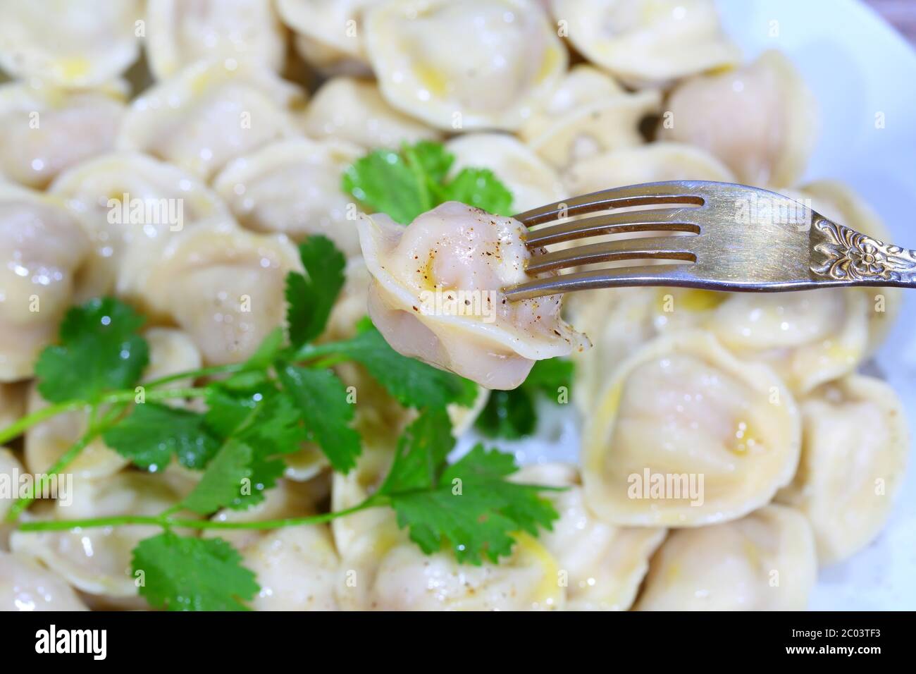 Pelmeni hat einen Stecker eingesteckt Stockfoto Pelmeni hat einen Stecker eingesteckt Stockfoto