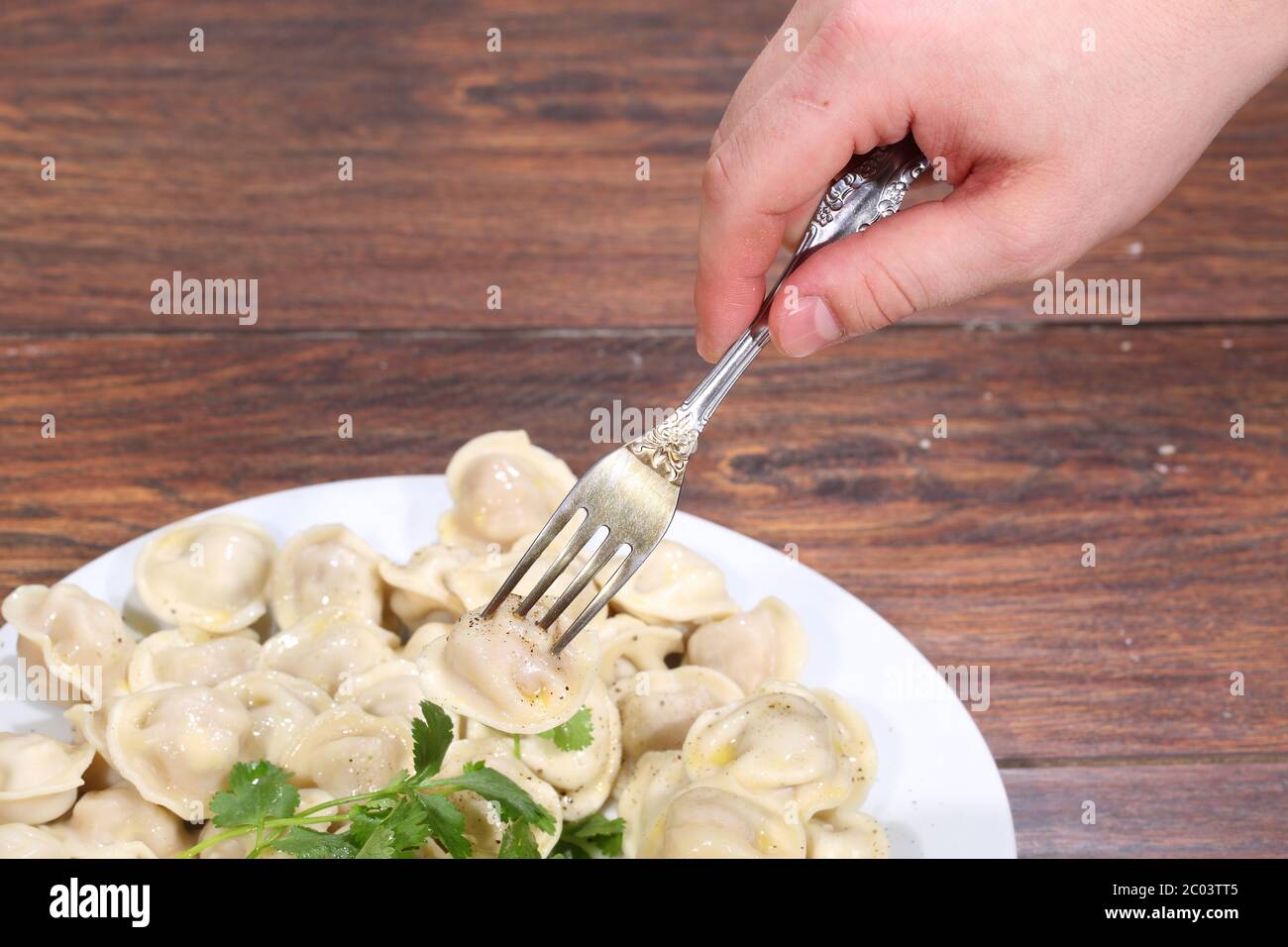 Die Hand des Mannes hält einen Stecker mit pelm fixiert Stockfoto Die Hand des Mannes hält einen Stecker mit pelm fixiert Stockfoto