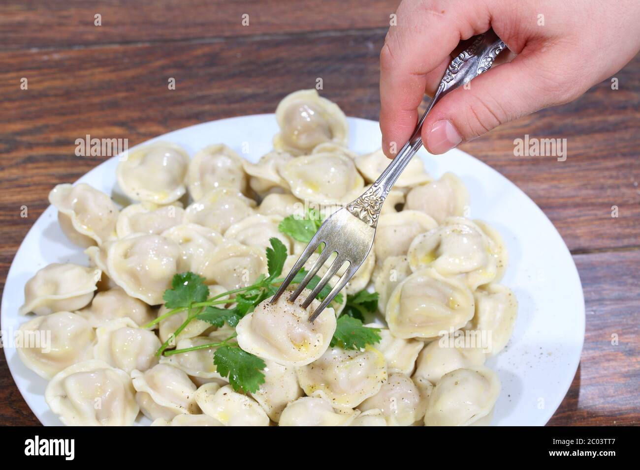 Die Hand des Mannes hält einen Stecker mit an ihm pinned pelmeni Stockfoto Die Hand des Mannes hält einen Stecker mit an ihm pinned pelmeni Stockfoto