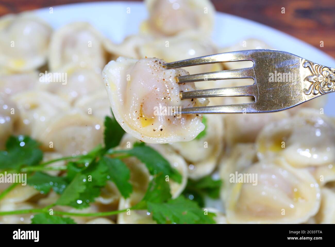 пельмень an einem Stecker fixiert Stockfoto пельмень an einem Stecker fixiert Stockfoto