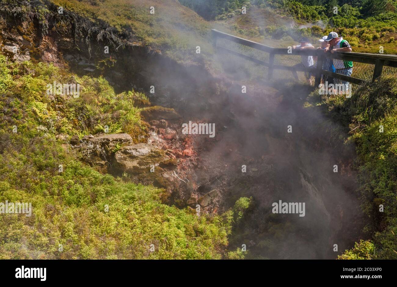 Dampflokomodions in der Craters of the Moon Thermal Area, Waikato Region, North Island, Neuseeland Stockfoto