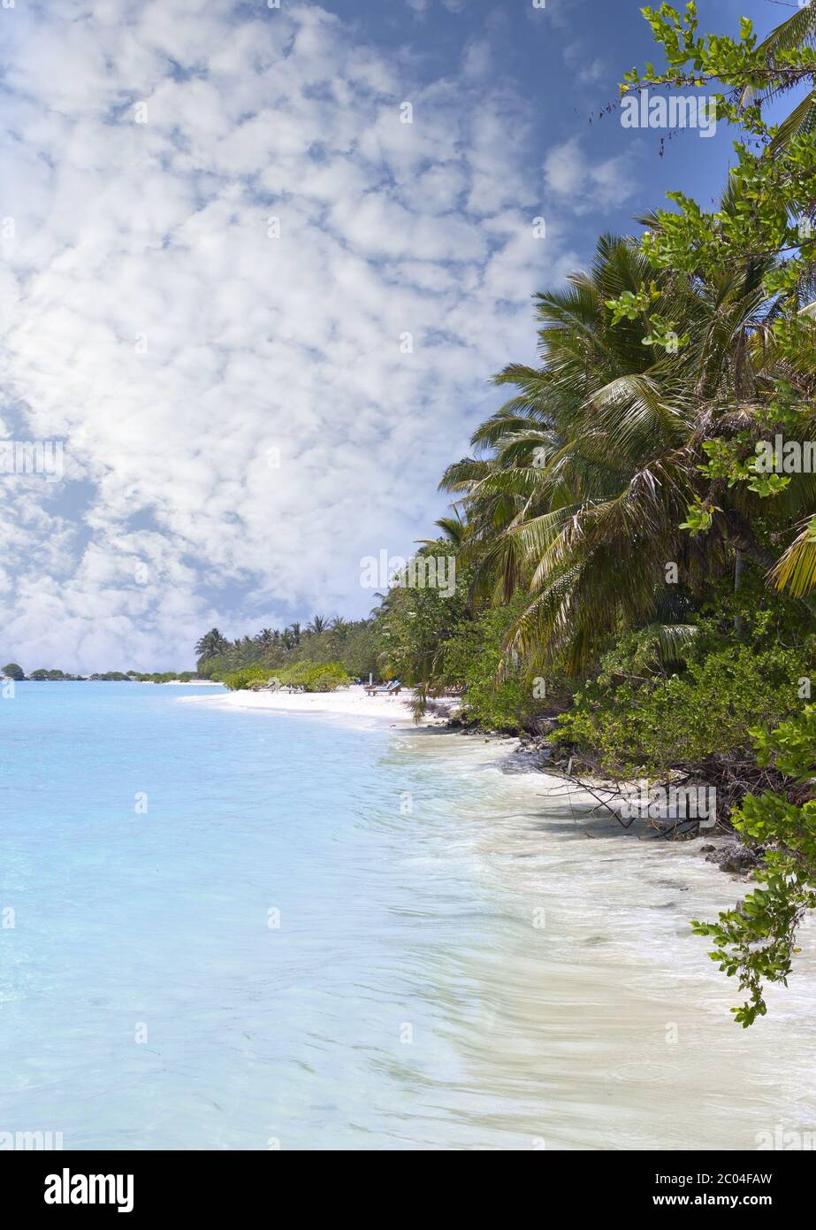 Strand mit Bäumen am Cyan Meer. Malediven Stockfoto