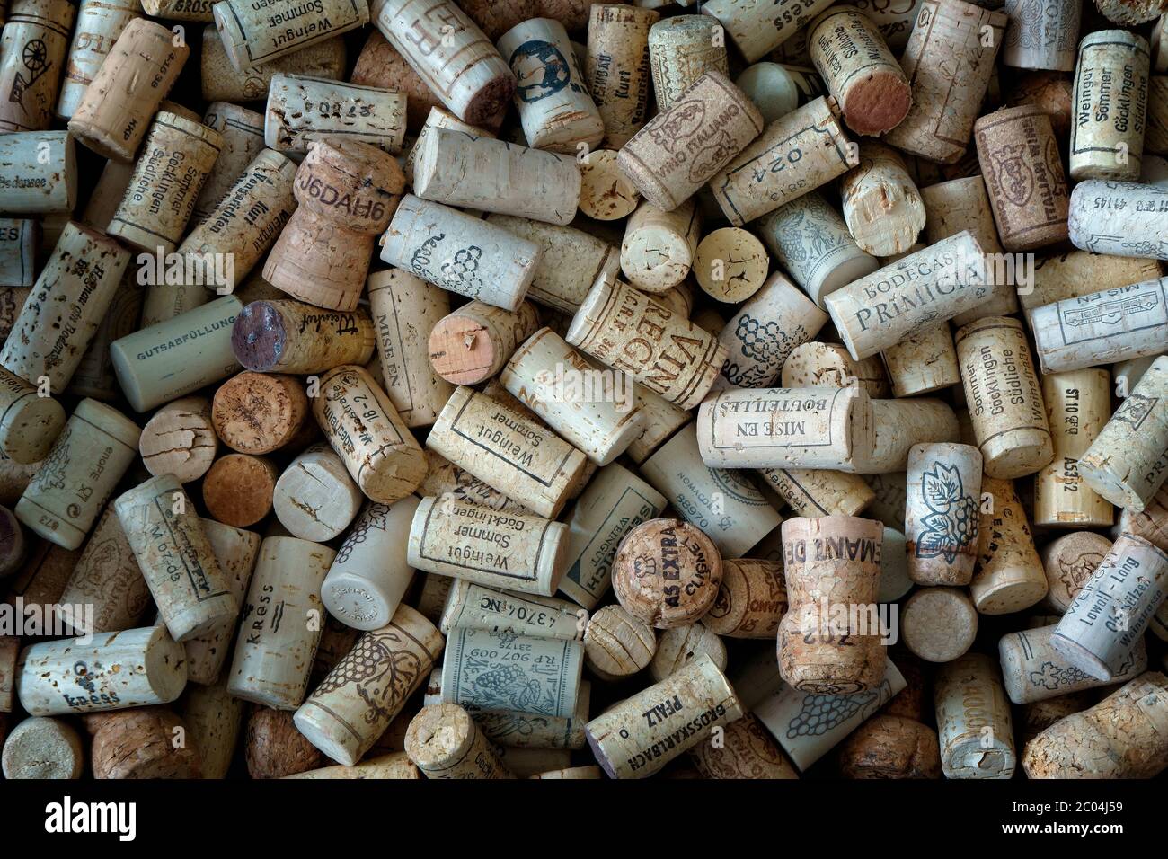 Konzept-Fotografie: In Vino Veritas Stockfoto