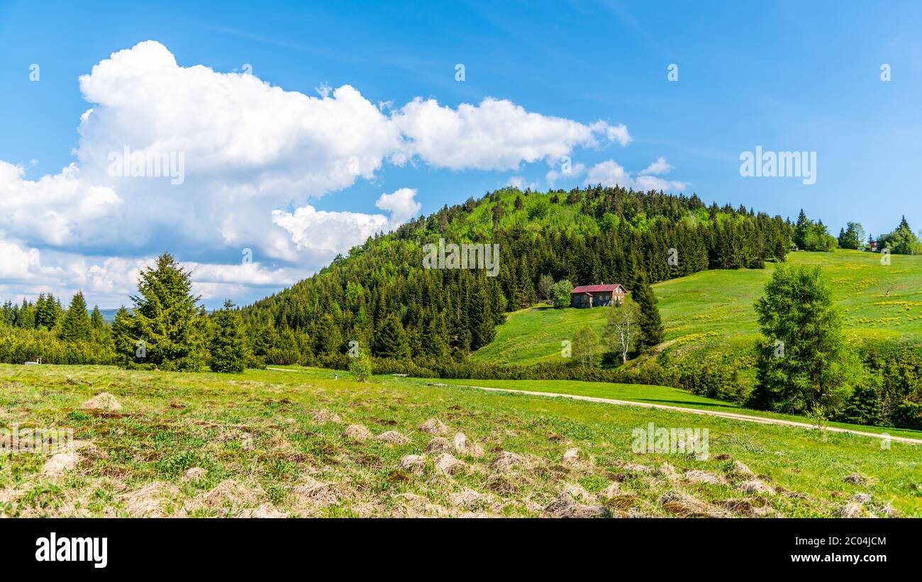 Bukovec Hügel über Jizerka Dorf an sonnigen Sommertag, Isergebirge, Tschechische Republik. Stockfoto