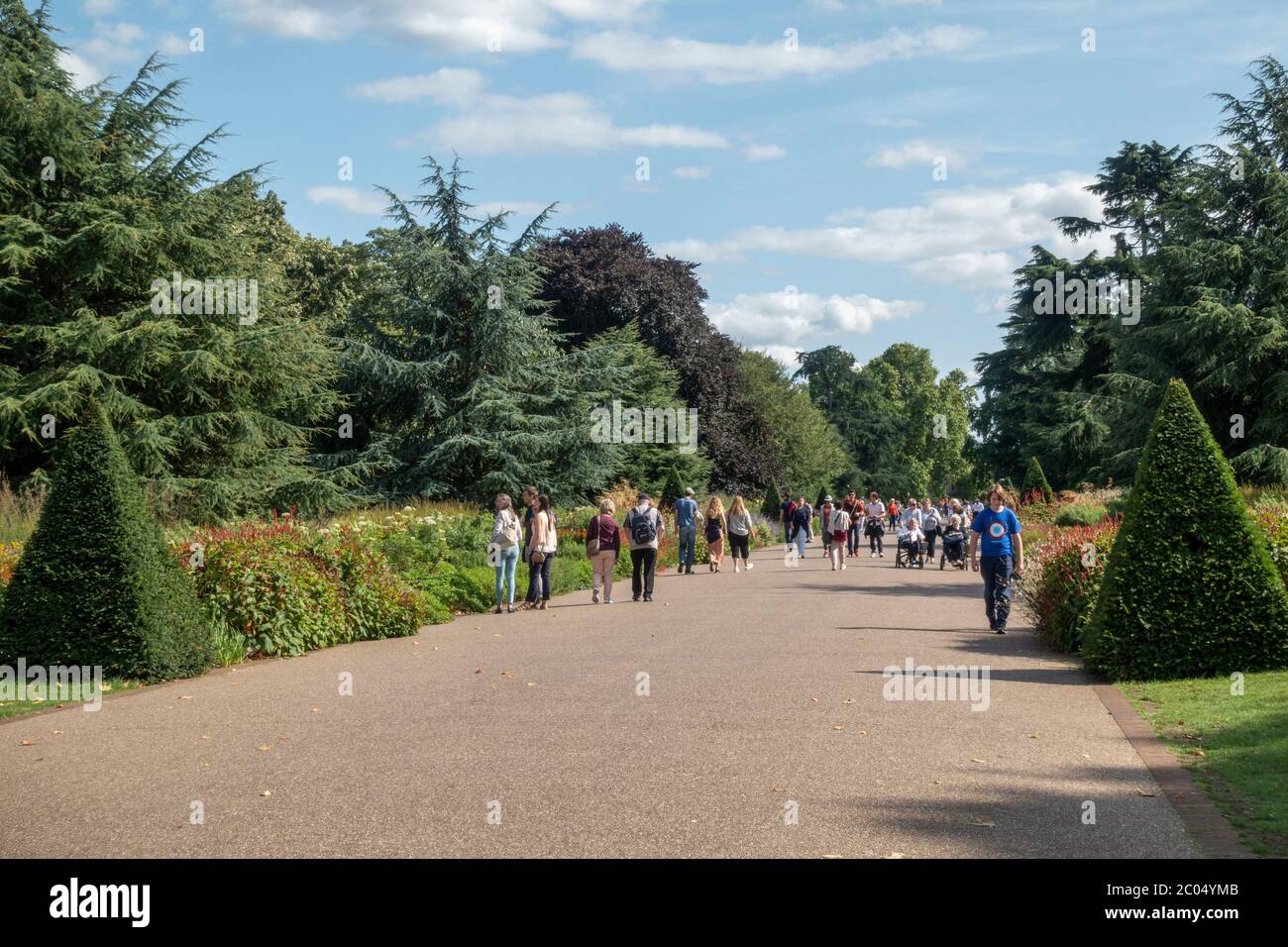 Allgemeiner Blick auf den breiten Spaziergang in den Royal Botanic Gardens, Kew, Richmond upon Thames, England, Großbritannien. Stockfoto