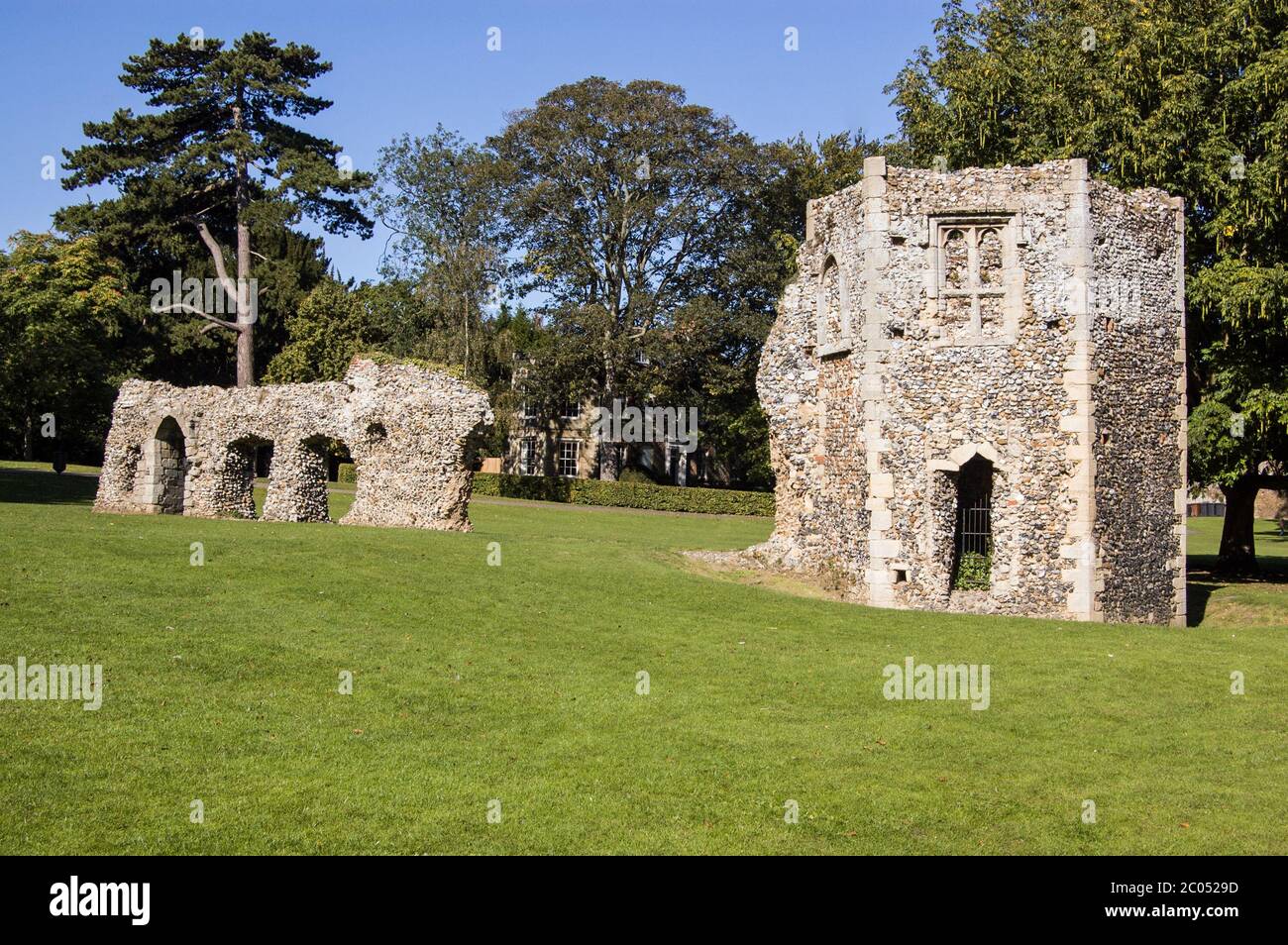 Teil der zerstörten Taubenschlag und Mauer der mittelalterlichen Abtei in Bury St Edmunds, Suffolk. Stockfoto