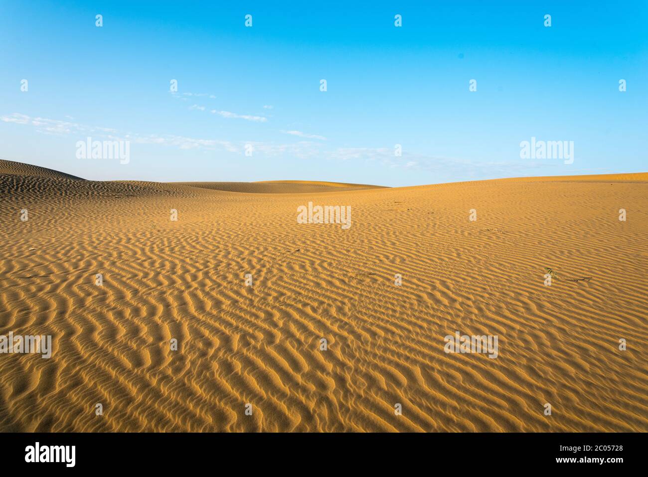Blauer Himmel und Muster auf Sand in Thar Wüste, Jaisalmer, Rajasthan, Indien. Stockfoto