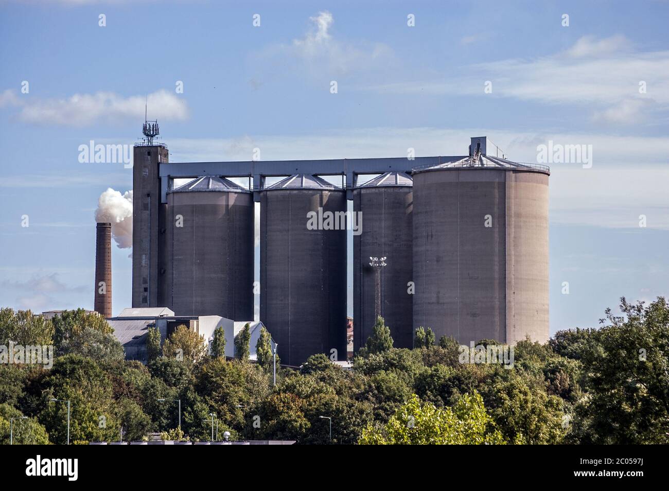 Blick über die Baumkronen zur Zuckerrübenfabrik British Sugar in Bury St Edmunds, Suffolk. Die größte gemahlene Zuckerfabrik in Großbritannien. Stockfoto