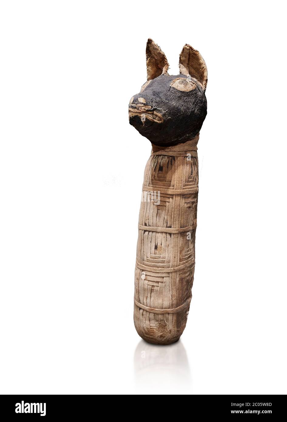 Alte ägyptische Mumie eines Kanids, Leinen, späte Periode, Ptolomäische Perios (722-30BC). Ägyptisches Museum, Turin. Weißer Hintergrund EIN Canid ist Mitglied von t Stockfoto