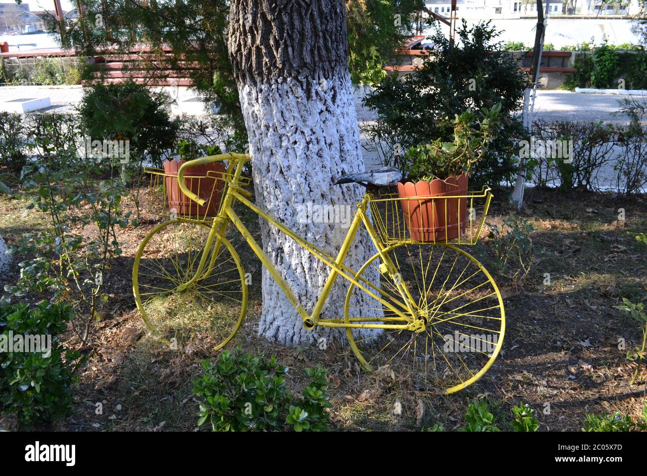 Gelbes Fahrrad im Park Stockfoto