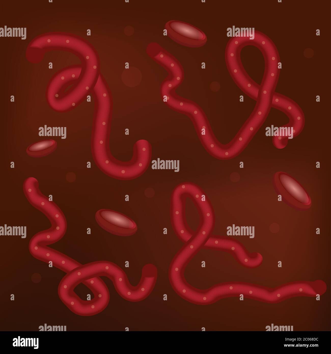 Ebola-Virus in Blut Set 3D, realistischer Stil. Makroansicht von Mikroorganismen. Vektorgrafik Stock Vektor