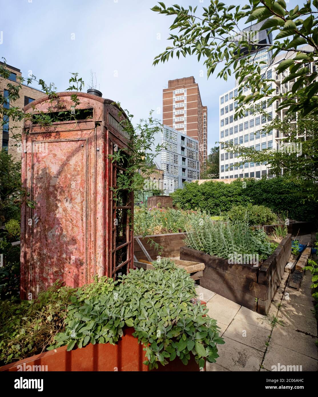 Gemeinschaftsgarten in der Melior Street in der Nähe von London Bridge und Bermondsey, ein typisches Beispiel für ein innerstädtisches Gemeinschaftsgarten-Projekt Stockfoto