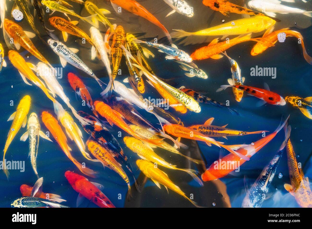 Ein Bisschen Von Dem, Was Du Willst Stockfotos und bilder Kaufen Alamy