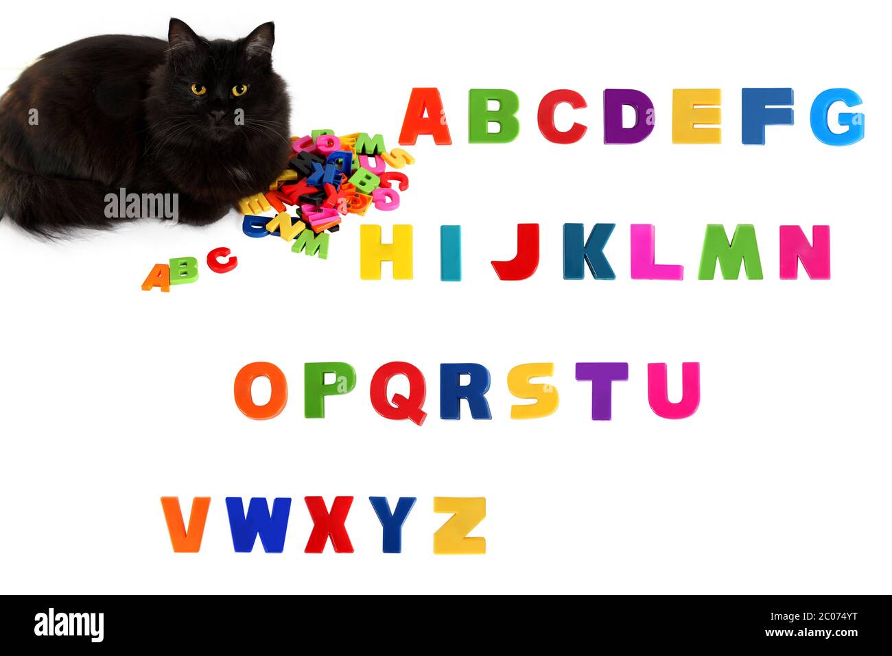 Buchstaben und schwarze Katze auf weißem Hintergrund. Stockfoto