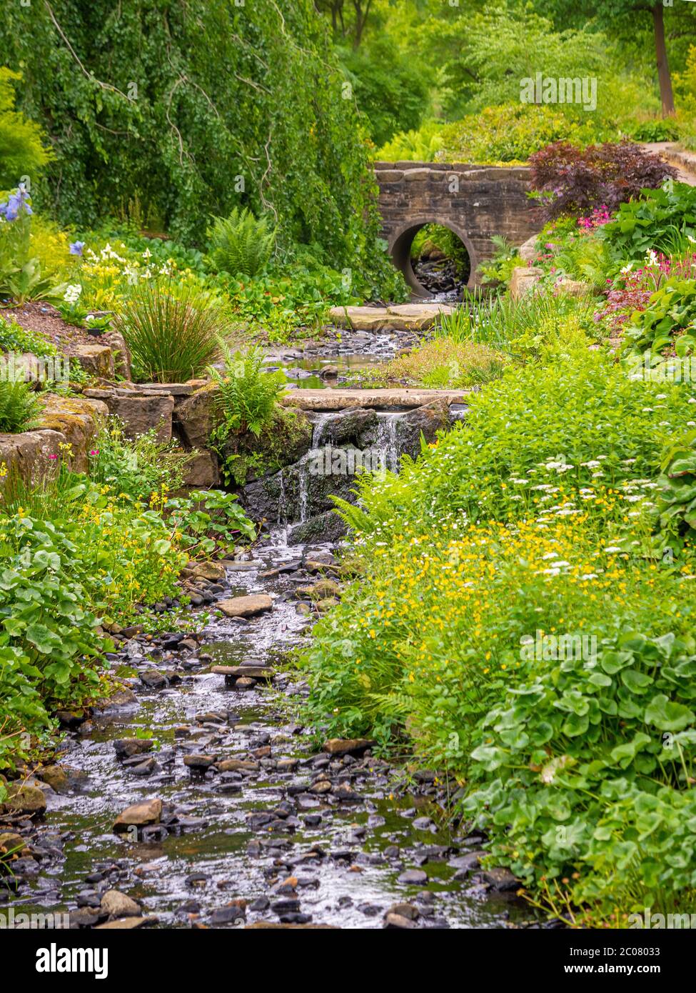 Waldstromgarten mit Steinfußbrücke in Harlow Carr Gardens in Harrogate. Stockfoto