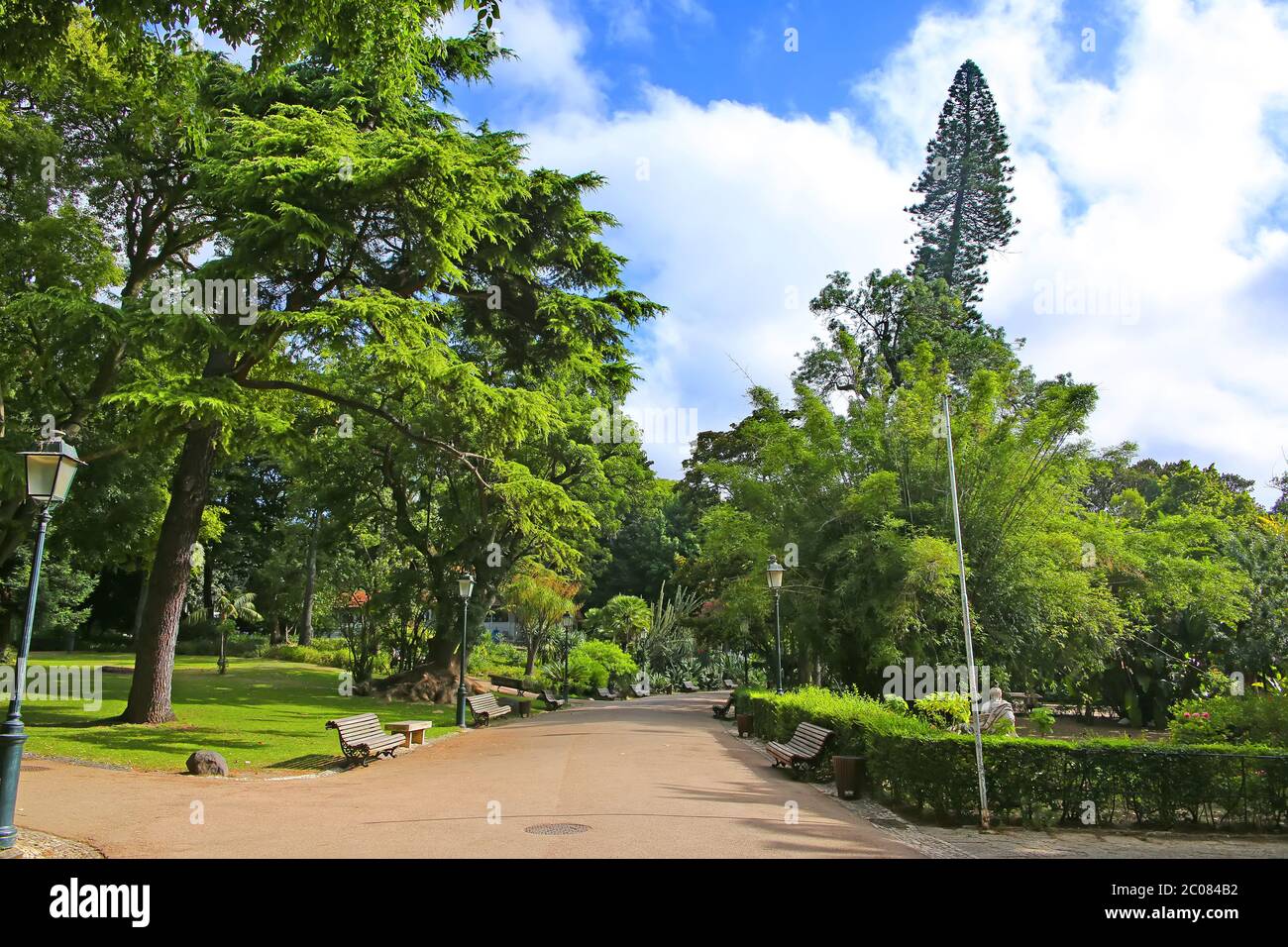 Praca da Estrela; schöner Park oder Gärten im Stadtzentrum, in der historischen Innenstadt, Lissabon, Portugal. Stockfoto