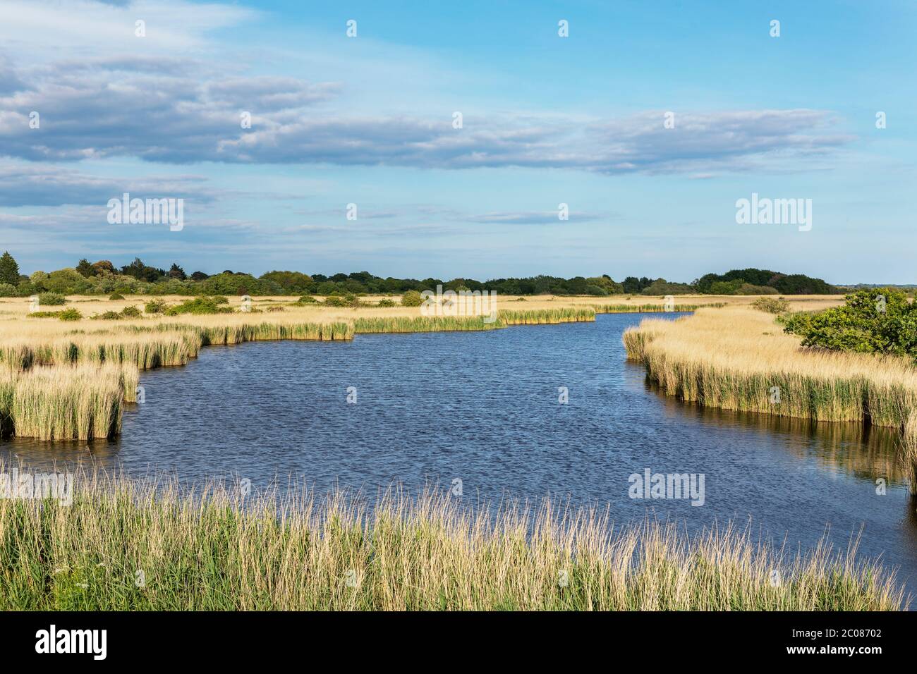 Wanderblick auf Little Deep auf Thorney Island in West Sussex. Lebendiges Schilfbett säumen die herrliche Binnenschifffahrt. Gesehen auf dem Sussex Grenzweg. Stockfoto