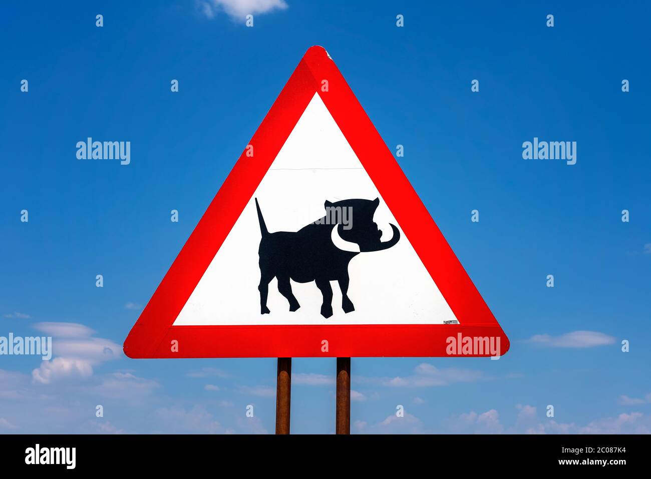 Warnschild für Warzenschweine beim Überqueren Stockfoto