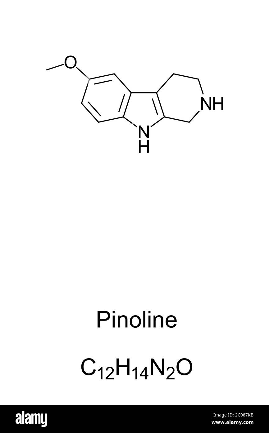 Pinoline, Skelettformel und Molekülstruktur. Ein methoxyliertes Tryptolin, das in der Zirbeldrüse produziert werden soll. Stockfoto