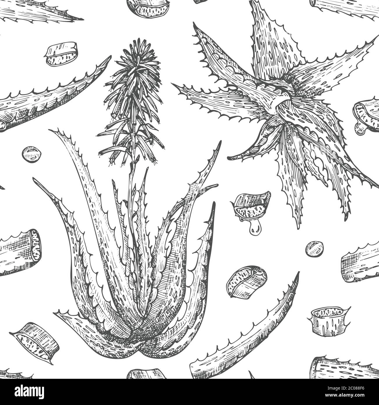 Nahtloses Muster mit handgezeichneten Aloe Vera lebt und Blume in schwarzer Farbe isoliert auf weißem Hintergrund. Retro Vintage engaving Grafik-Design Stock Vektor