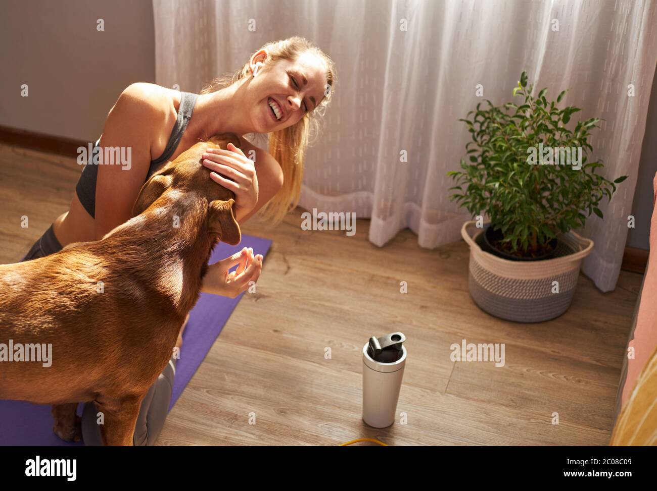 Junge Frau spielt mit Haustier Hund während der Versuch, Training. Stockfoto