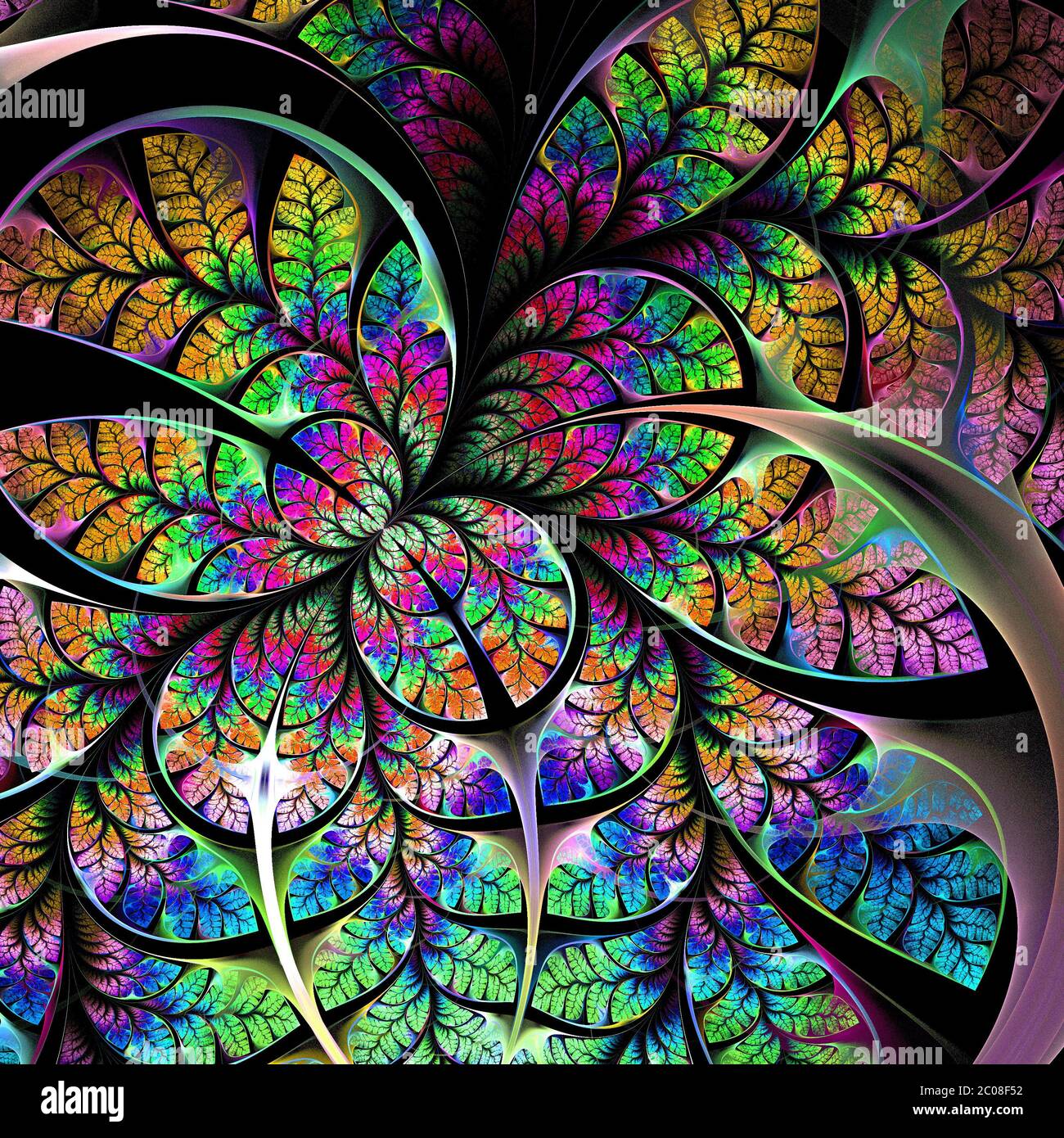 Bunte fabelhafte Fraktalmuster. Auf Schwarz. Sammlung - Laub. Computergenerierte Grafiken. Stockfoto