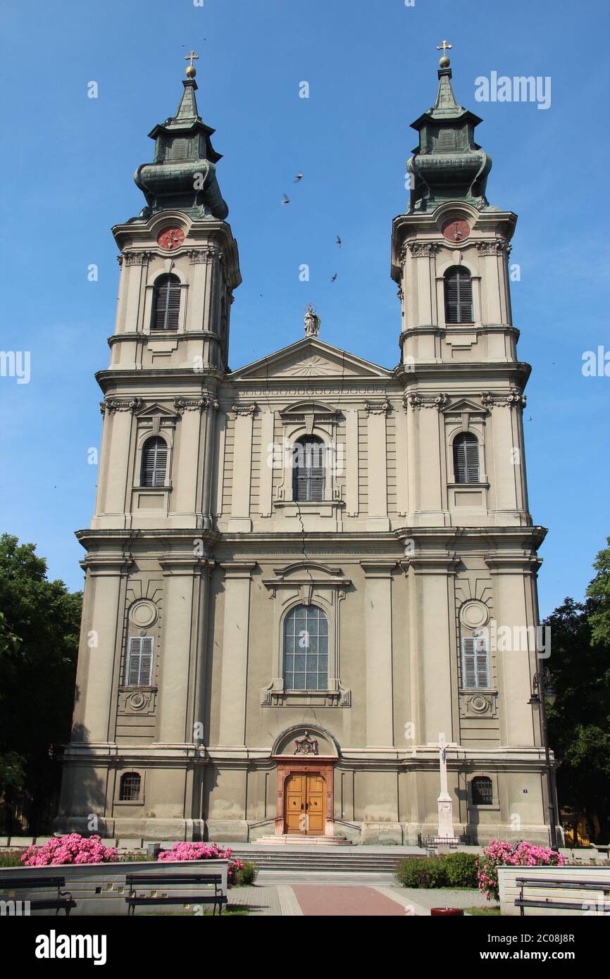 Die barocke Subotica Kathedrale in der Frühlingssonne in Serbien. Der hl. Theresa von Avila gewidmet. Stockfoto