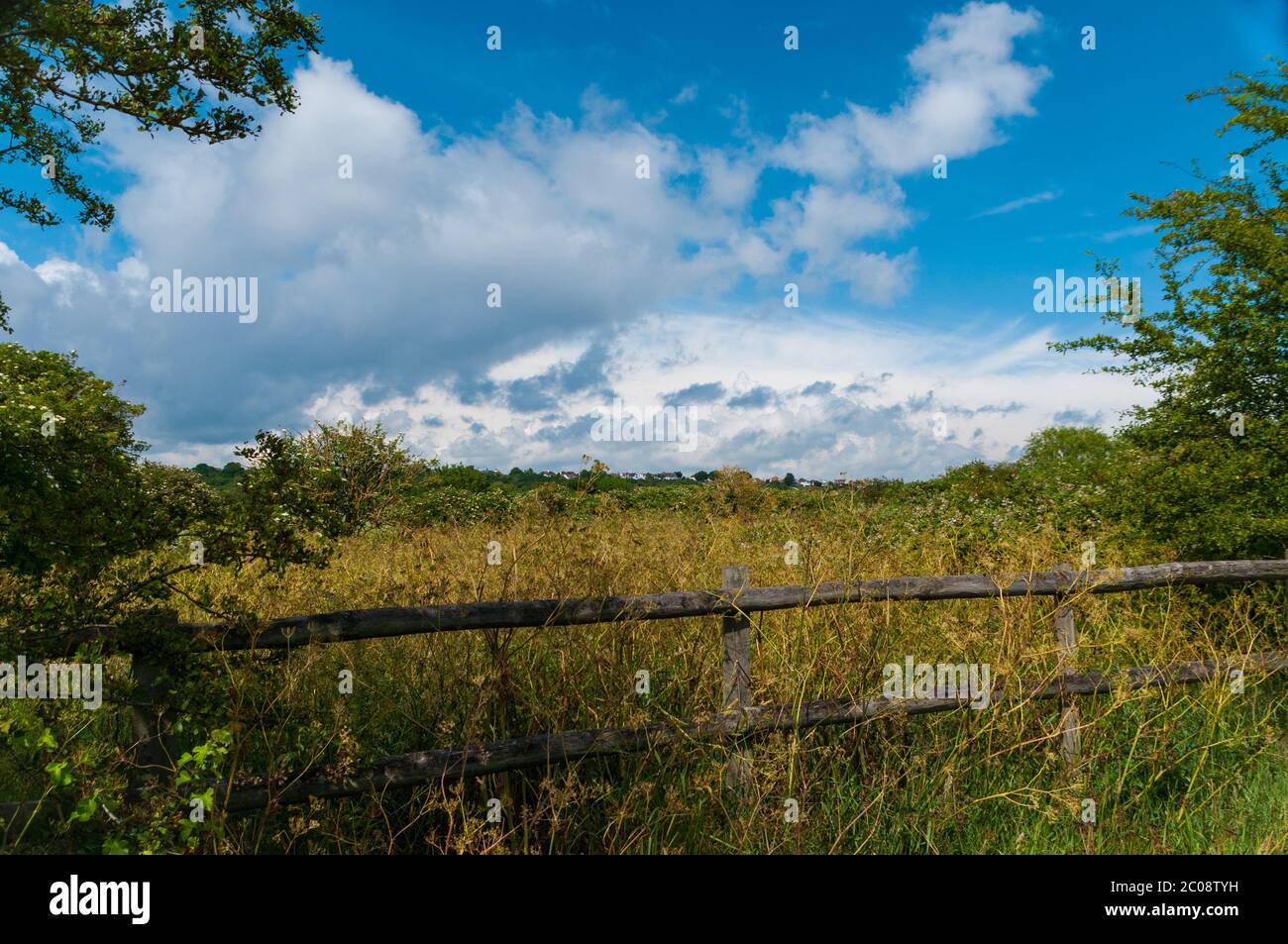 Two Tree Island Nature Reserve, Essex, Großbritannien Stockfoto