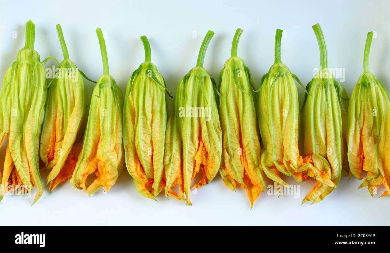 Zucchini Pflanze Stockfotos und bilder Kaufen Alamy