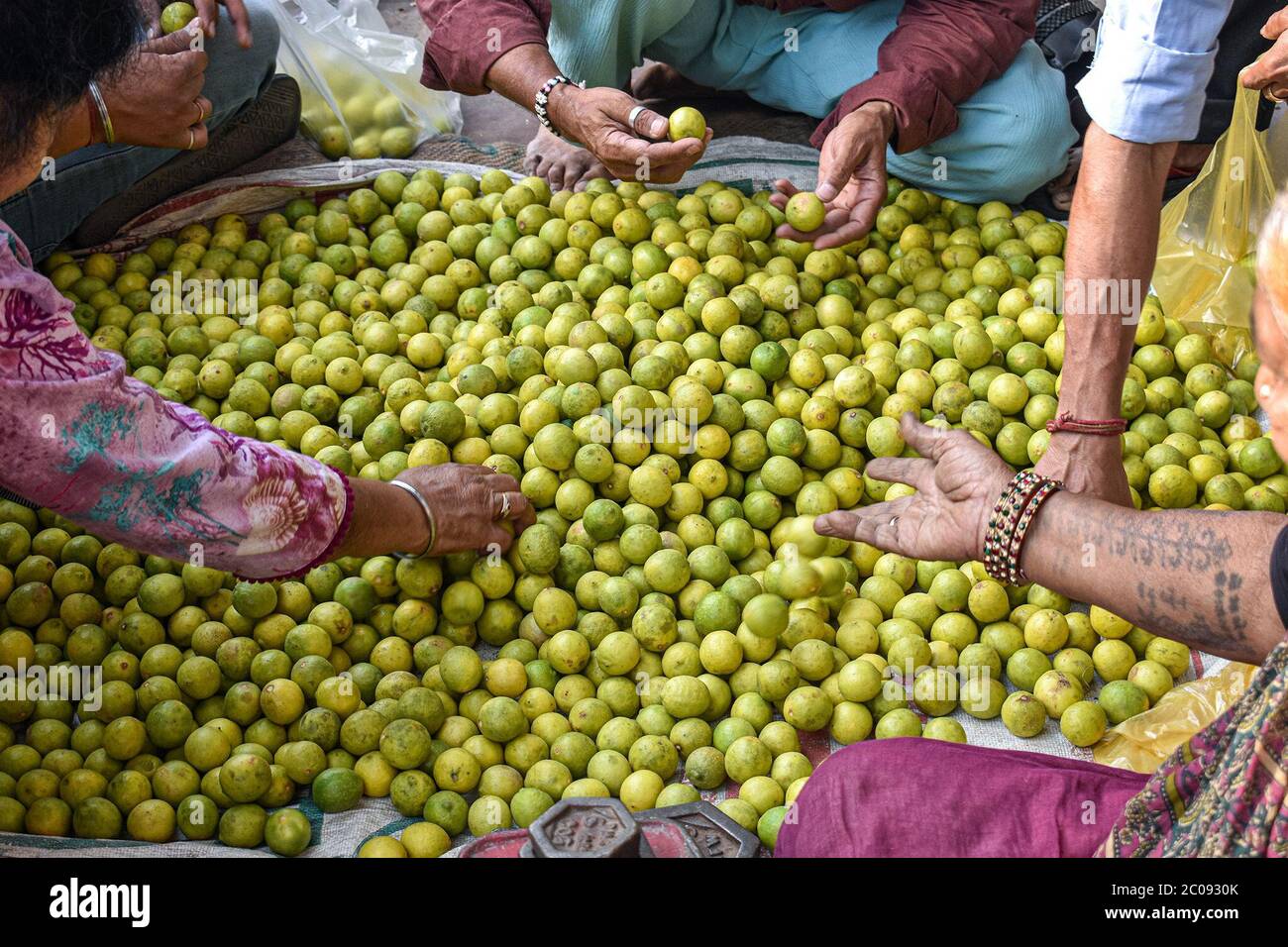 Jaili Devi (unten rechts), verkauft Zitronen in Daryaganj, einem Viertel in Old Delhi, Indien. Sie verkauft ein Kilogramm Zitronen für 100 indische Rupien (1.45 USD). (Aliya Bashir, GPJ Indien) Stockfoto