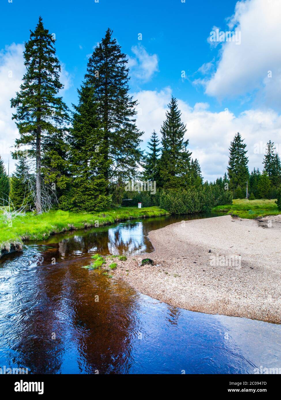 Kleiner Bergbach mitten in grünen Wiesen und Fichtenwald, Isergebirge, Tschechien. Stockfoto