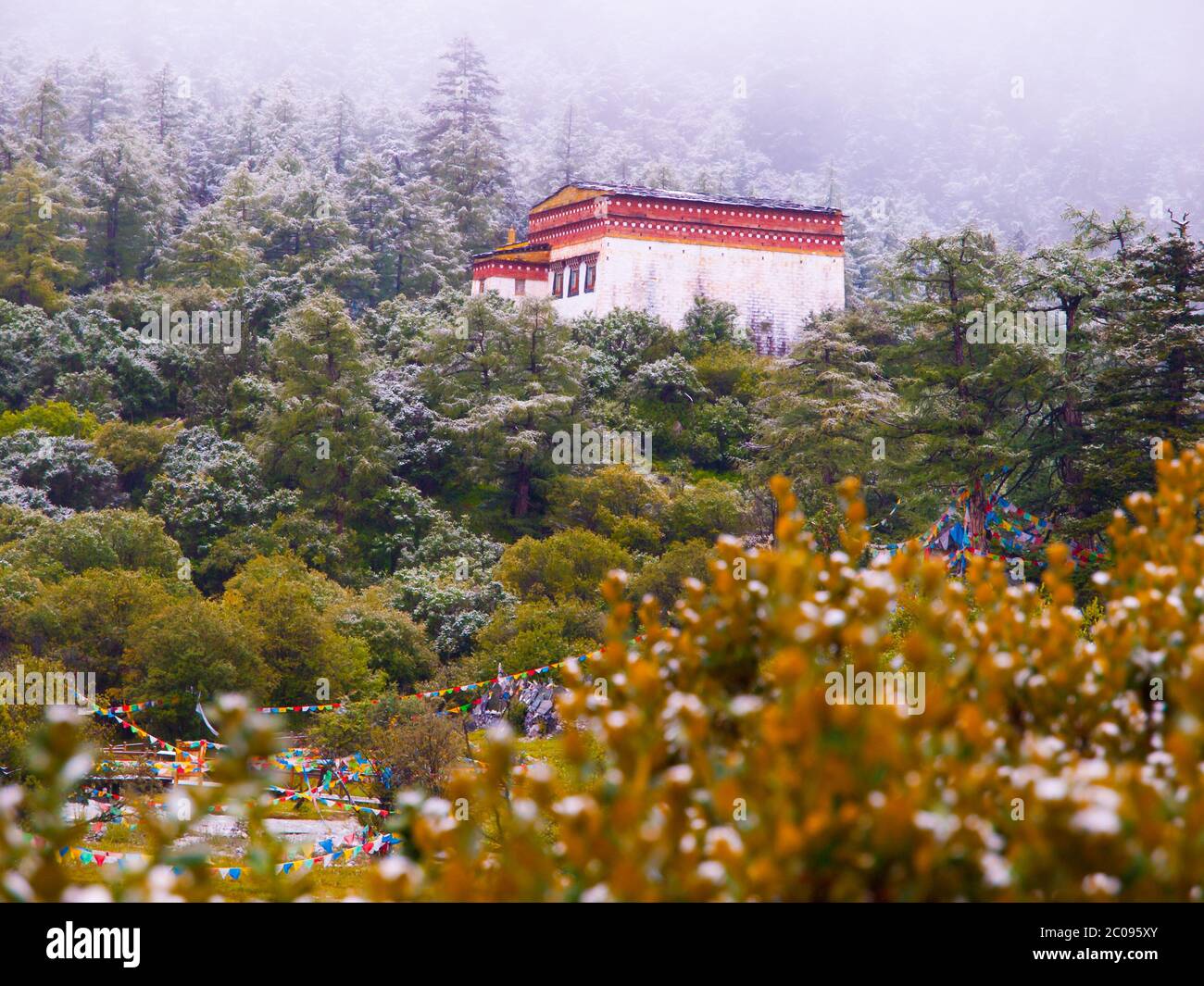 Chongu Kloster in Yading nationalen Ebene Reserve, Daocheng, Sichuan, China Stockfoto