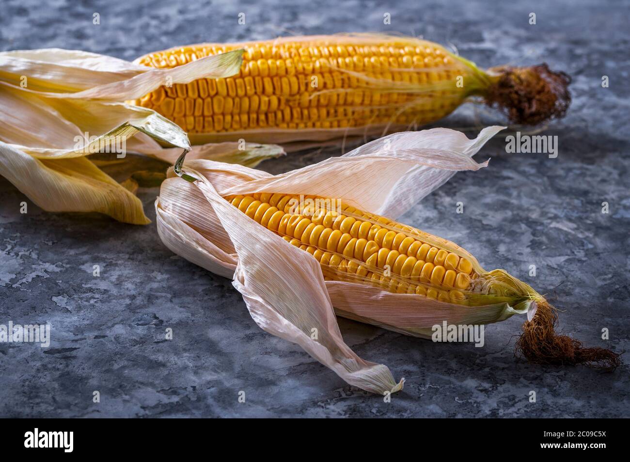 Eine frische, reife Ähre von Mais auf dem Tisch liegen. Stockfoto