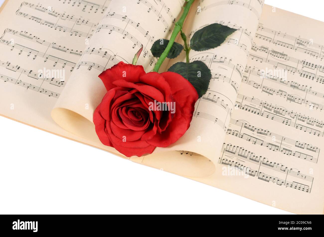 Die Rose auf Notebooks mit Noten Stockfoto