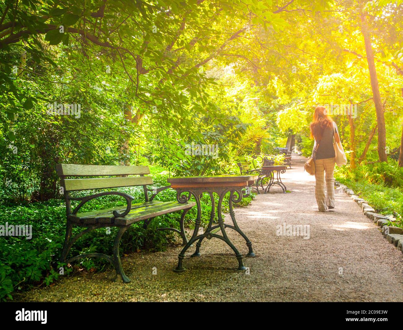Junge Frau geht im Park an sonnigen Sommertagen. Stockfoto