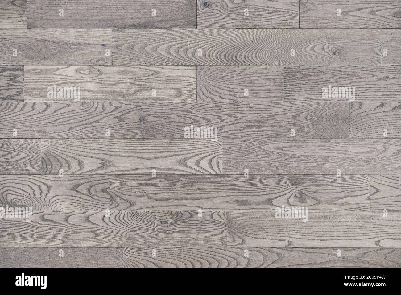 Grau weiß Holz Boden Textur Hintergrund von oben betrachtet. Neutral weiß getünchten Hartholz Fleck gibt diese breite Holzboden Planken ein modernes Aussehen w Stockfoto