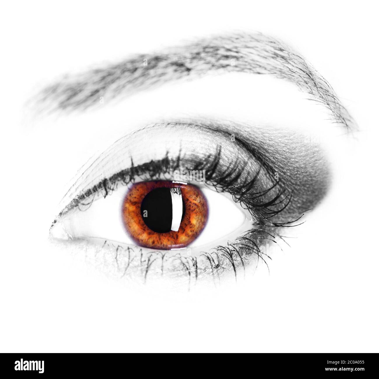 Menschliches auge detail Ausgeschnittene Stockfotos und -bilder - Alamy