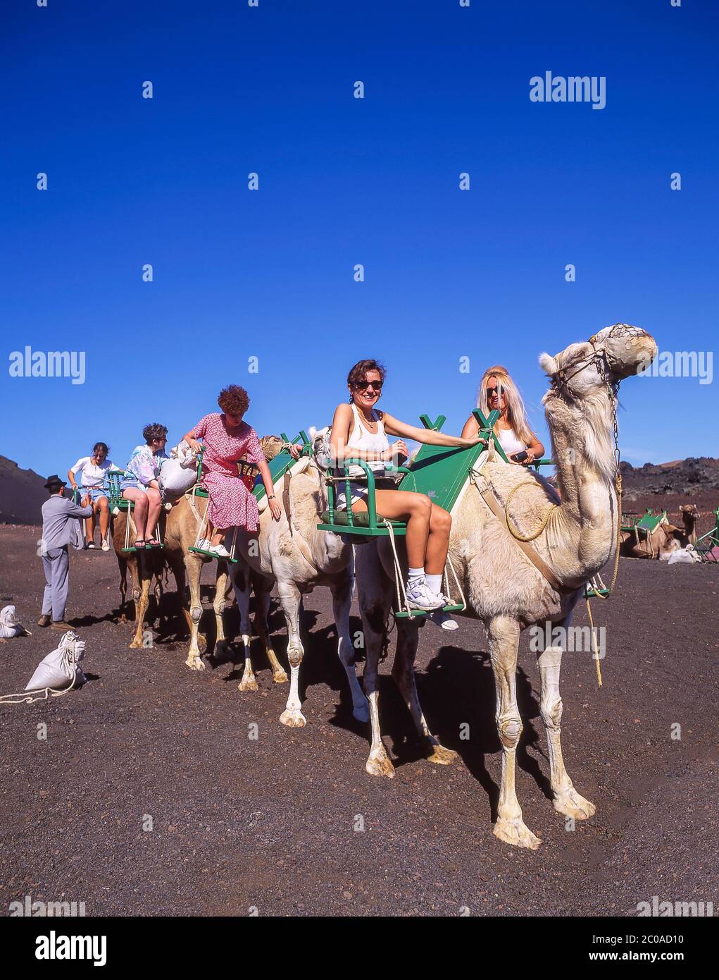 Kamelreiten, Nationalpark Timanfaya, Lanzarote, Kanarische Inseln, Königreich Spanien Stockfoto
