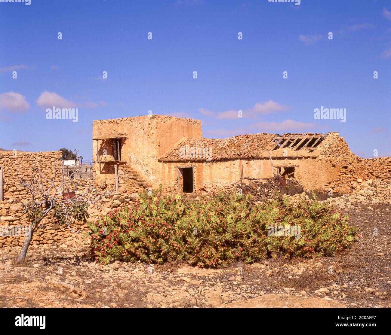 Altes, baufällig Bauernhaus in der Nähe von Haira, Lanzarote, Kanarische Inseln, Spanien Stockfoto
