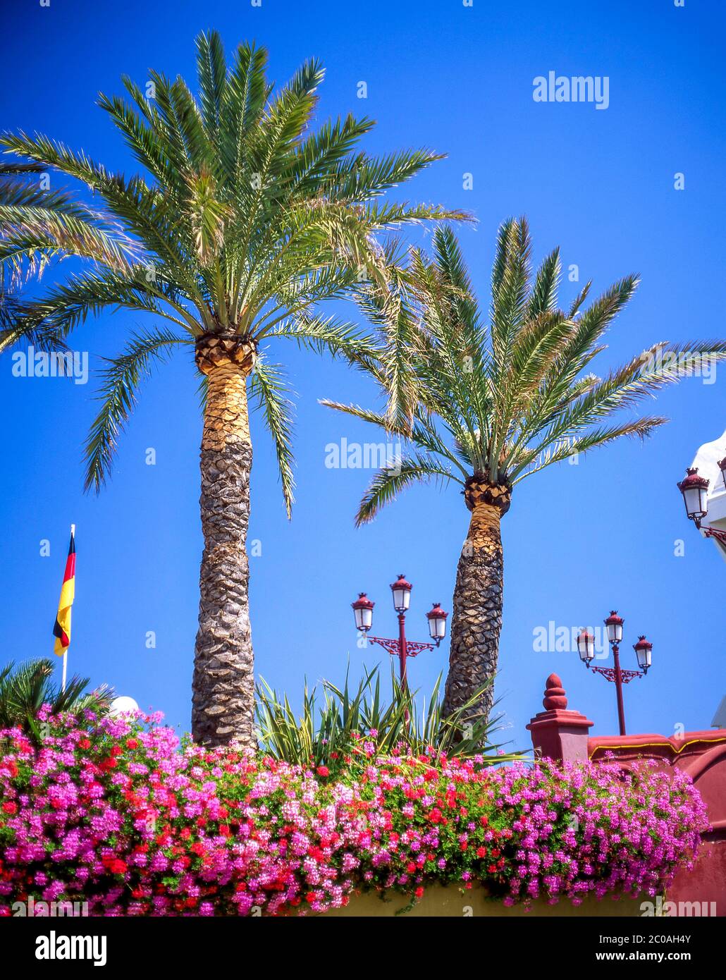 Blumen und Palmen am Eingang zum Puerto Marina., Benalmádena, Costa del Sol, Andalusien (Andalusien), Königreich Spanien Stockfoto