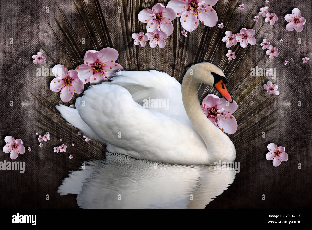 3d Wallpaper Textur, weißer Schwan und Zweig blühenden Apfelbaum auf Stoff Leinwand Stockfoto