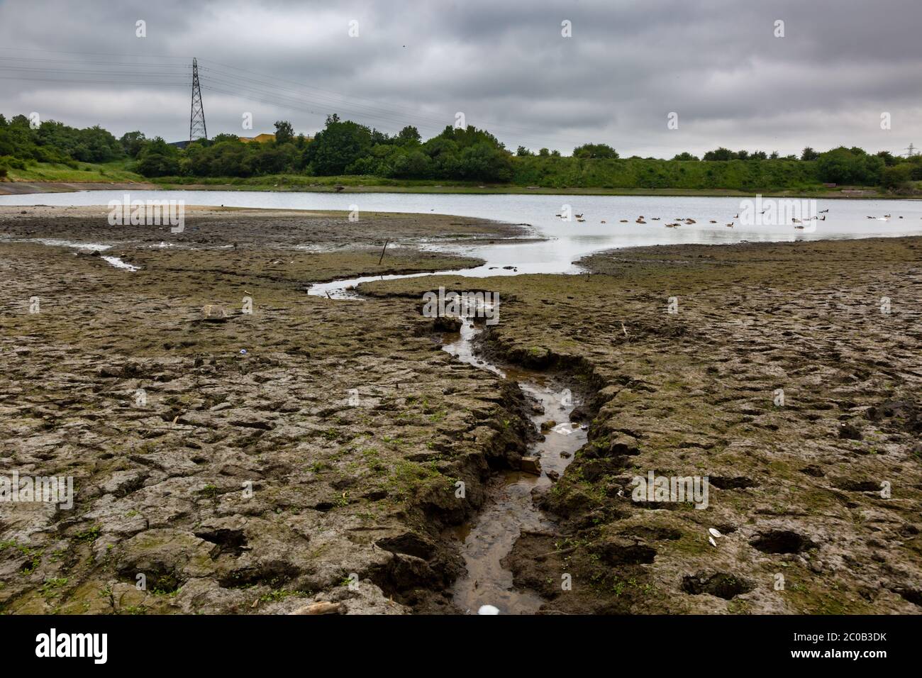 Niedrigwasser am Fens Pool, Brierley Hill, West Midlands, Großbritannien Stockfoto