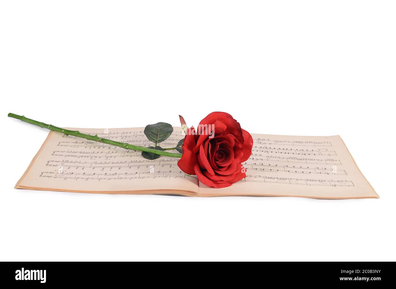 Die Rose auf Notebooks mit Noten Stockfoto